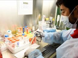 CORONAVIRUS: Au moins 20 vaccins attendus dans quelques semaines