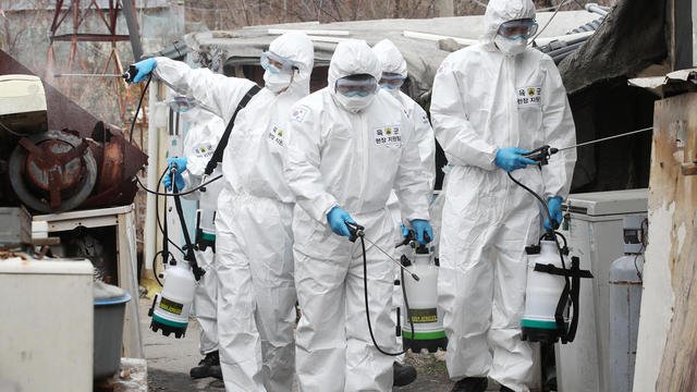 “Zéro cas” à Touba : le Médecin-chef de Diourbel dément