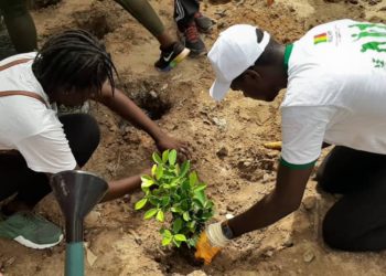 Campagne ” Japp ci sa gox set” aujourd’hui à  Fann Hock
