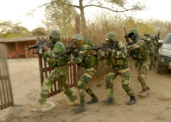 RATISSAGE DE L’ARMÉE DANS LE DÉPARTEMENT DE GOUDOMP : Focus sur le camp du front Sud-Est fondé par feu Ousmane Niantang Diatta