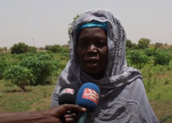 Wendu boseabé : oasis agricole au Fouta