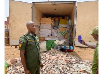 Keur Ayip: Un nouveau record de la douane sénégalaise.