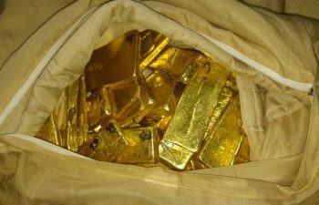 Importante saisie de lingots d’or par la Douane …