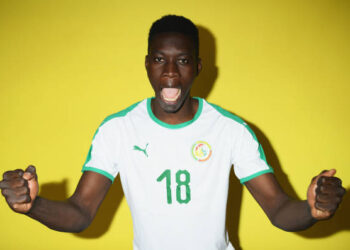 Amicale : Les lions puissance 3