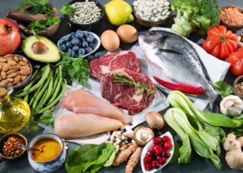 Révélations du SE-CNSA Prospectives Alimentaires à L’Horizon 2035