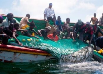 Kayar : 173 pêcheurs touchés par une maladie mystérieuse