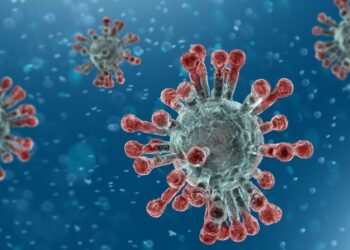 Covid-19 : un retour à la hausse