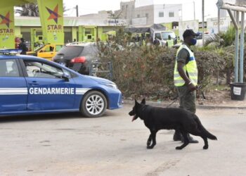 Opération de sécurisation par la Gendarmerie Ouest: le General Moussa Fall s’y est déjà mis