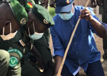 Journée nationale de l’arbre : début recrutement de 10 milles emplois verts dès demain