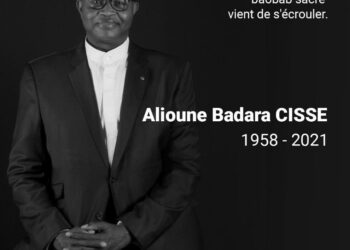 Un gigantesque  baobab vient de s’écrouler