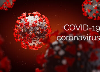 Situation Covid-19 : 498 cas positifs, 29 décès, 63 cas grave