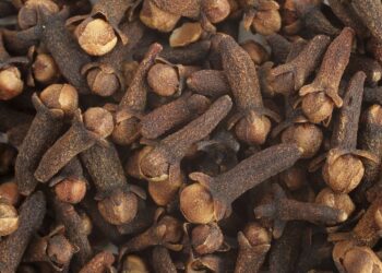 Le clou de girofle et ses vertus