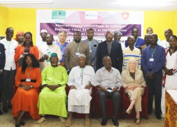 Résolution sur le respect des régles de la démocratie, de l’Etat de droit, des droits humains et de la bonne gouvernance en Afrique