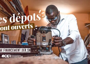 Avis aux porteurs de projets numériques et jeunes entreprises innovantes des communes de Bargny, Mont-Rolland et Sandiara…