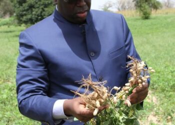 LANCEMENT, LE FINANCEMENT ET LE SUIVI- EVALUATION DE LA CAMPAGNE DE COMMERCIALISATION AGRICOLE.