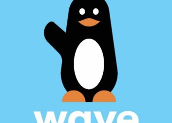 17 Comptes Wave Piratés Par Trois Nigériens