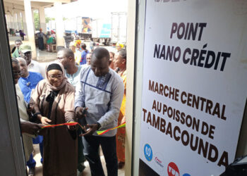 Der/fj injecte 70 millions à Tamba