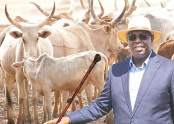 DOCTRINE D’AMENAGEMENT DES PARCOURS DE BETAIL ET DE LA DEFINITION DES ZONES DE PATURAGE  