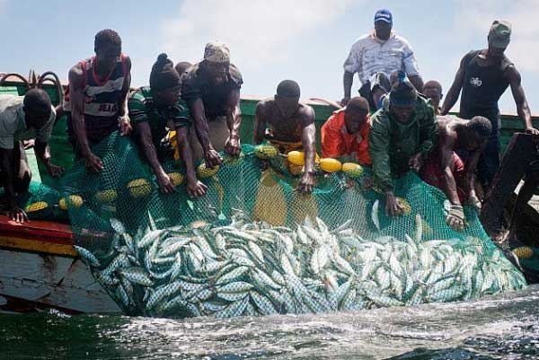 Sénégal/Guinée Bissau: Renouvellement du protocole d’application des pêches.