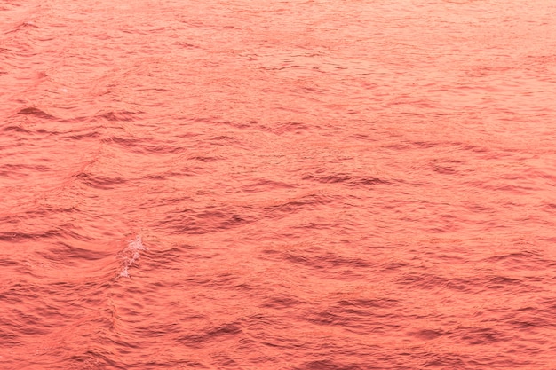 Un Mystérieux Produit Détecté Au Large de Mbour