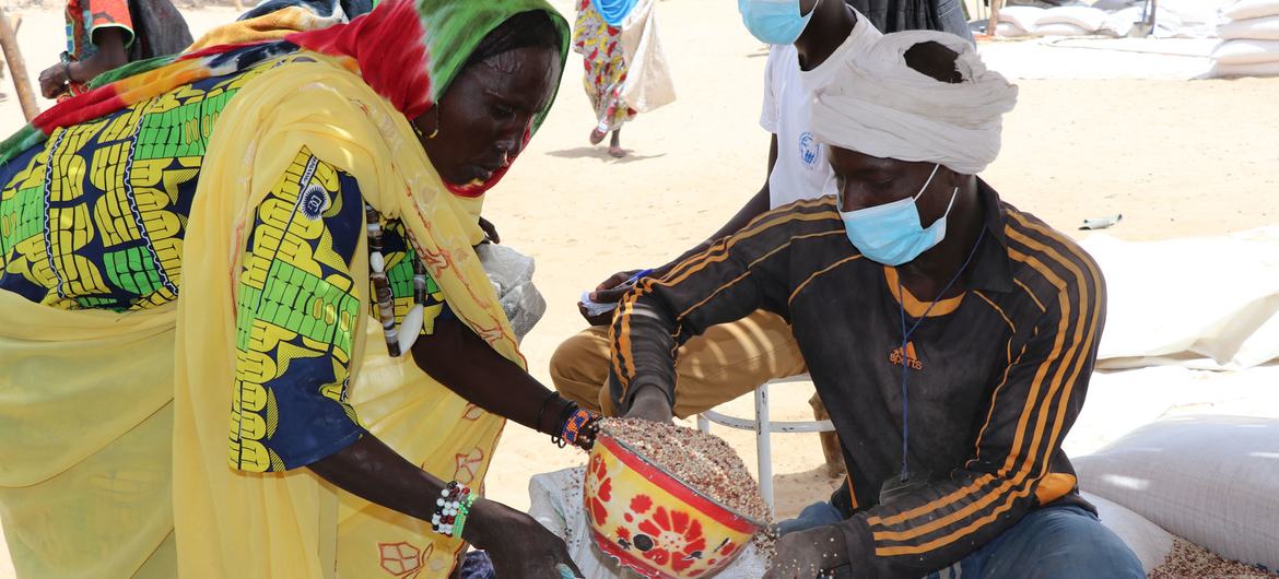 Une grave insécurité alimentaire menace 12 millions de personnes au Sahel (PAM)