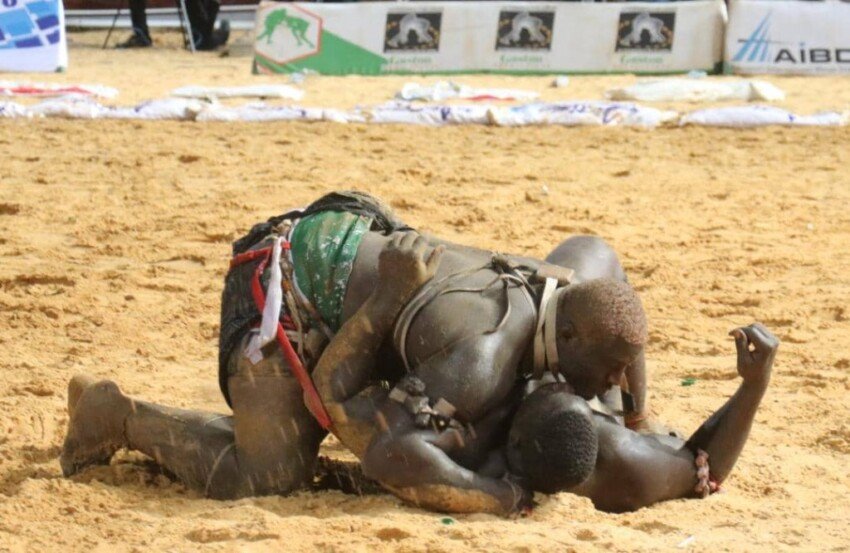 La confirmation spectaculaire du Lion de Guediawaye sur le Tigre de Face. 