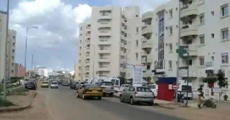 Les habitants du quartier de Sacré-cœur alertent sur l’envahissement des scorpions