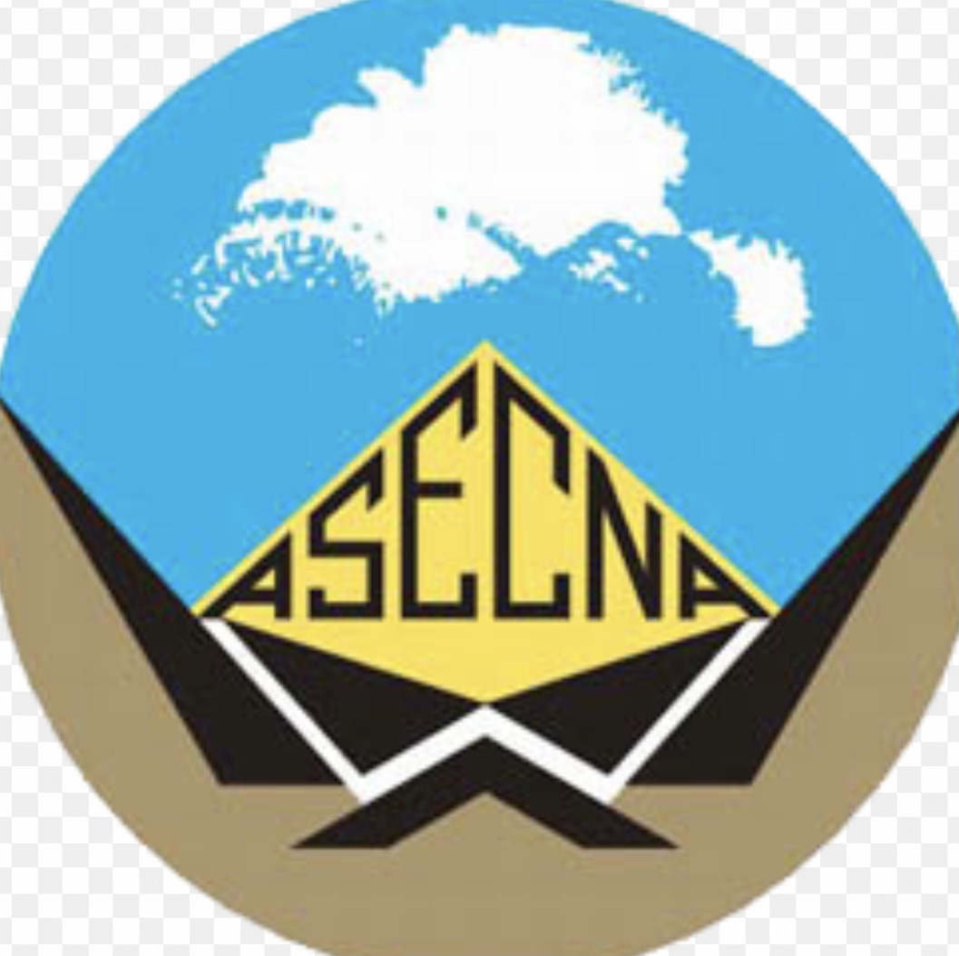 l’Asecna promet des sanctions aux auteurs du mouvement qui perturbent&nbsp;&nbsp;le fonctionnement des aéroports&nbsp;