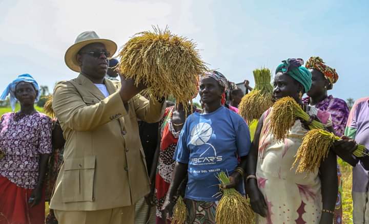 LE PRÉSIDENT MACKY SALL VEUT UNE SOUVERAINETÉ ALIMENTAIRE CONSENSUELLE, PRAGMATIQUE ET DURABLE.