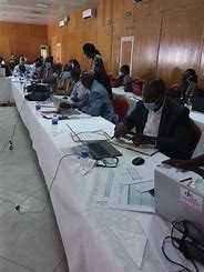 Des experts africains ont réfléchi sur comment éliminer les Mtn.