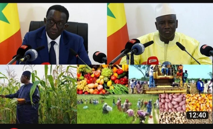 (Vidéo) Campagne agricole 2023-2024 :Le budget porté à 100 milliards selon le Premier Ministre Amadou Bâ…