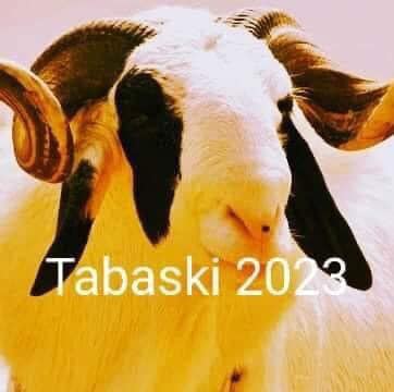 TABASKI 2023: L’ASSOCIATION NATIONALE DES IMAMS CONFIRME LA DATE DU 29 JUIN