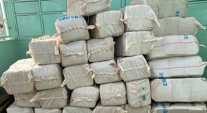 MBOUR: DÉCOUVERTE DE 80 KG DE CHANVRE INDIEN DANS UN POULAILLER