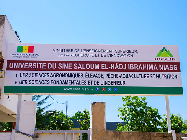 Université du Sine-Saloum : un directeur d’UFR accusé d’avoir violé et mise enceinte une fille de 13 ans