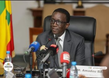 Commercialisation de l’arachide : 10 mesures phares pour la campagne, le prix plancher fixé à 280 FCFA le kilo