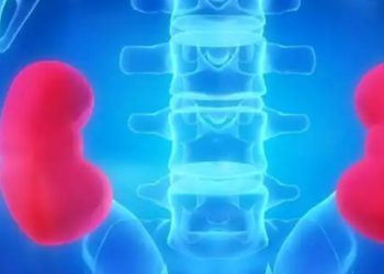 SOCIÉTÉ-Hôpital Militaire de Ouakam : Transplantation rénal, une première opération réalisée.