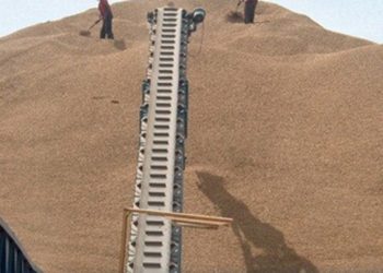Campagne agricole: 1,7 million de tonnes d’arachides estimé.