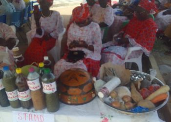 Kaolack/Lutte contre la malnutrition infantile: l’initiative inédite de la commune de Gandiaye. 