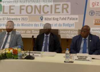 SOCIÉTÉ-Economie sénégalaise : L’agriculture ne pèse que 15% du pib (Mamadou Moustapha Ba)