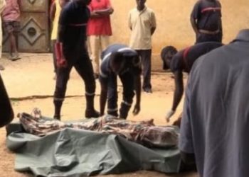 SOCIÉTÉ-Forêt de Gassane : Un corps sans vie d’un homme, le crâne fracassé retrouvé