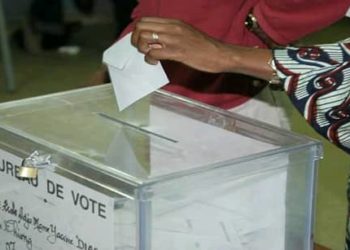 Processus électoral : Le vice-président de la LSDH relève des manquements sur le parrainage optionnel