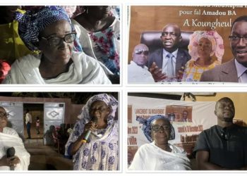 Kafrrine: le ministre des Finances ratisse large au profit du candidat Amadou Ba.