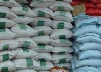 SOCIÉTÉ-Pénurie de riz à Kaolack : Le kg se vend à 500 F CFA, la section locale de l’Ascosen tire la sonnette d’alarme