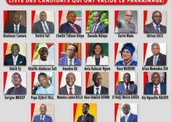 POLITIQUE-La Liste de tous les candidats qui ont validé l’étape des Parrainages