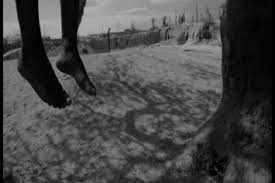 “SOCIÉTÉ Effroyable : Corps sans vie d’une femme de 55 ans retrouvé pendu à un arbre.