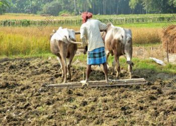 FAITS SOCIAUX*ORKADJIERE: Le cultivateur surprend un voleur dans son champ et lui sectionne 4 doigts