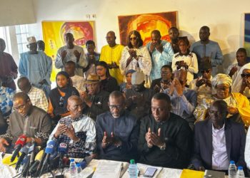 FRONT DÉMOCRATIQUE POUR UNE ÉLECTION INCLUSIVE (FDPEI)
