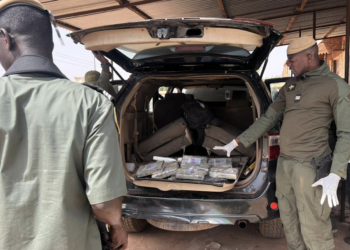 Saisie de 11 kg de cocaïne pure et de 200 grammes de cannabis à Keur-Ayip 