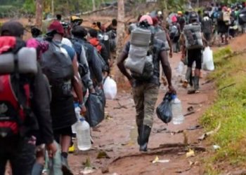 Migration africaine aux USA : 60 000 via Nicaragua, le Sénégal en tête