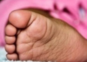 Kaffrine : Le corps d’un nouveau-né abandonné dans un dépotoir d’ordures